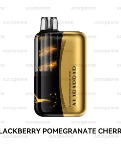 ALIBARBAR SWIRL 13000 Puffs Blackberry Pomegranate Cherry Disposable Vape 3500mAh Dual Mesh Australia