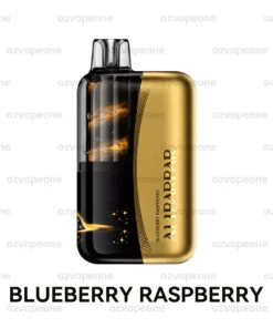 ALIBARBAR SWIRL 13000 Puffs Blueberry Raspberry Disposable Vape 3500mAh Dual Mesh Australia