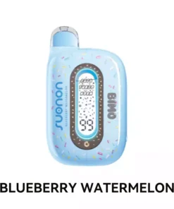 BIMO DONETE 50000 Puffs Blueberry Watermelon