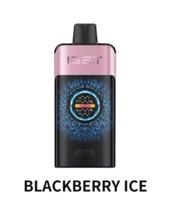 IGET ONE 12000 Puffs Blackberry Ice