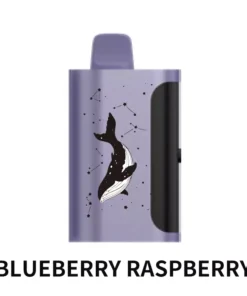 PICCO STAR 40000 Puffs Blueberry Raspberry