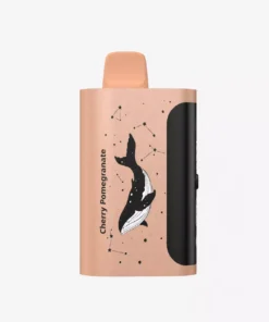 PICCO STAR 40000 Puffs Cherry Pomegranate