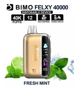 BIMO FELXY 40000 Kit Fresh Mint