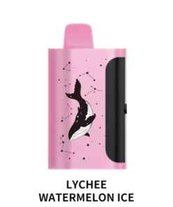 PICCO STAR 40000 Puffs Lychee Watermelon Ice