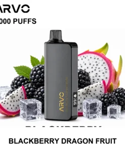 ARVO 9000 Puffs Blackberry Dragon Fruit