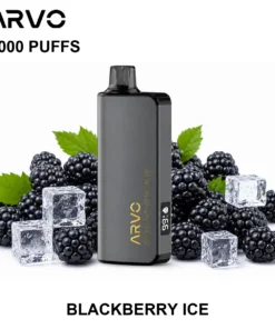 ARVO 9000 Puffs Blackberry Ice