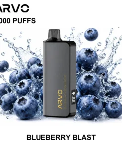 ARVO 9000 Puffs Blueberry Blast