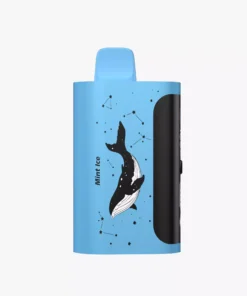PICCO STAR 40000 Puffs Mint Ice
